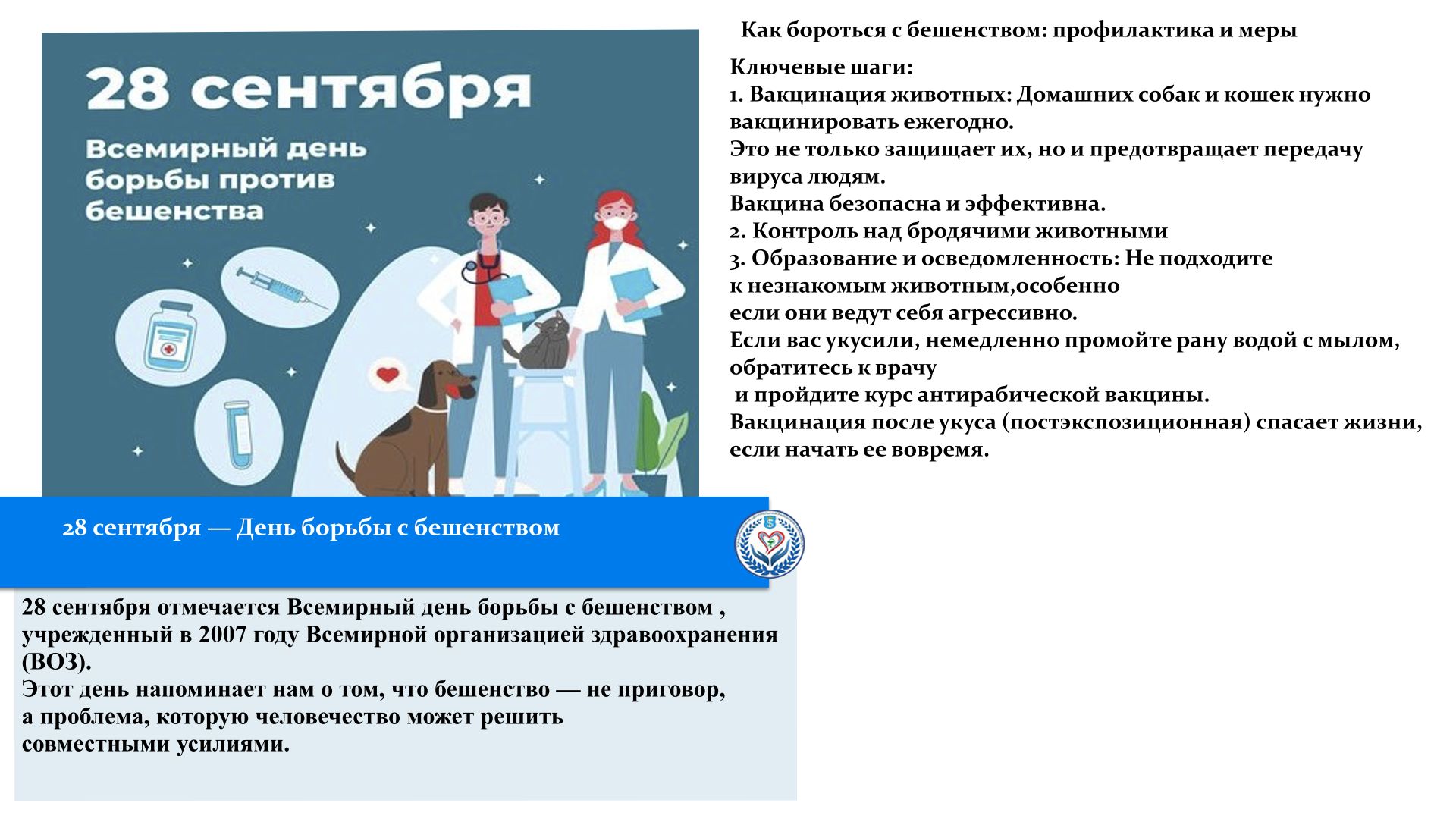 Текст заголовка