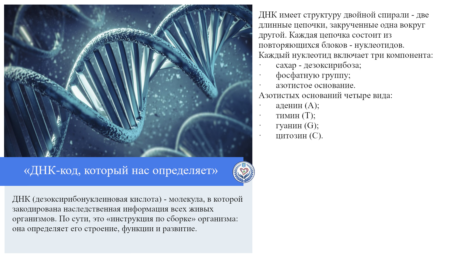  «ДНК-код, который нас определяет»