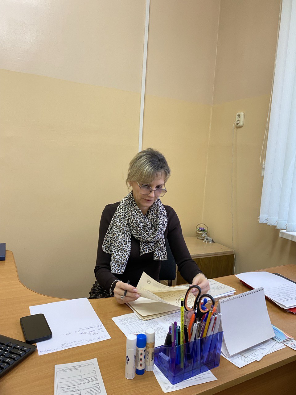 «Визит ведущих специалистов с организационно-методической помощью»