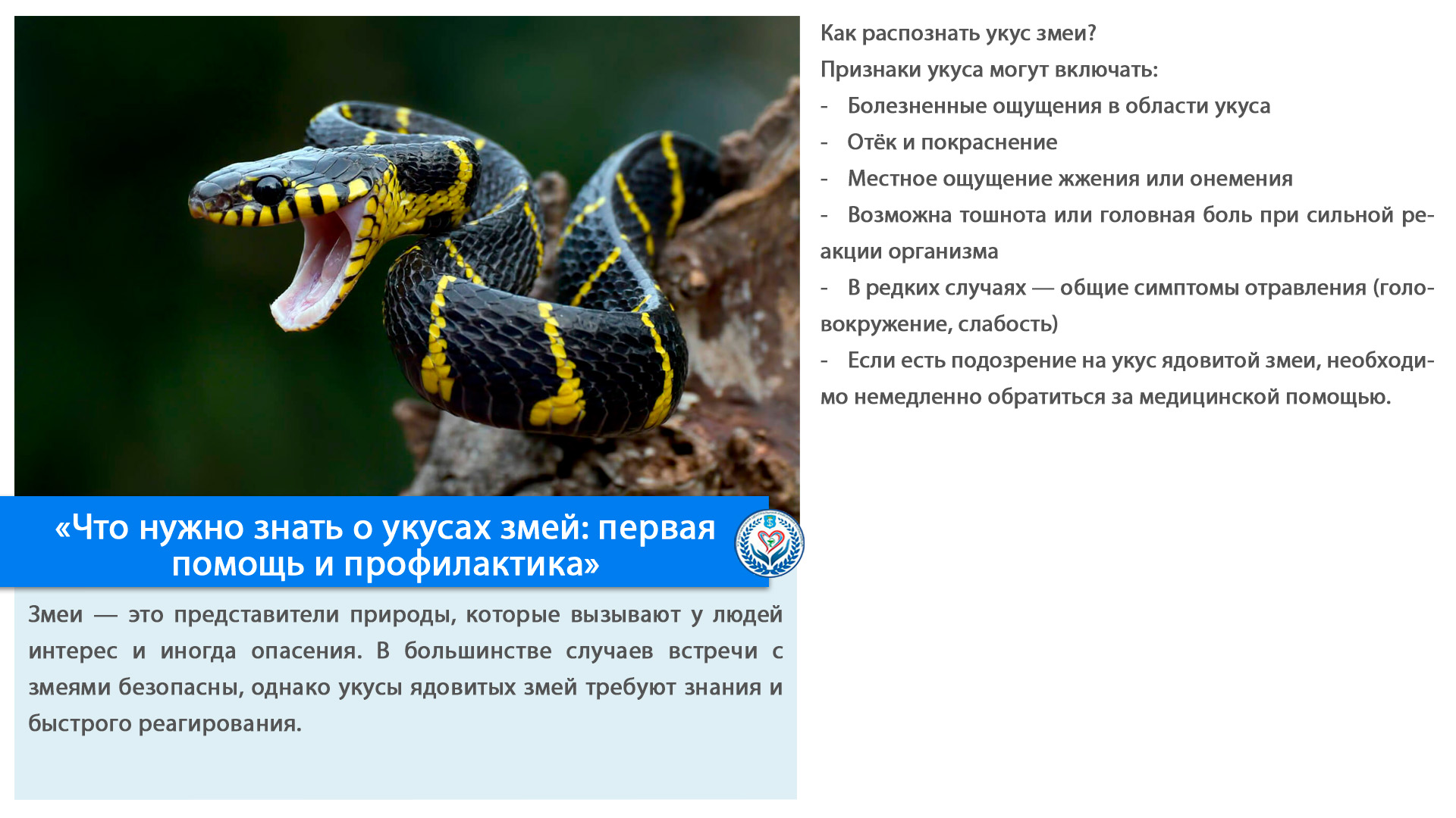 «Что нужно знать о укусах змей: первая помощь и профилактика»